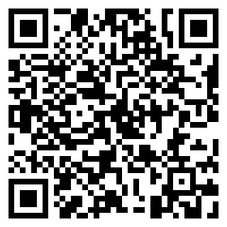 子弹先生：间谍谜团